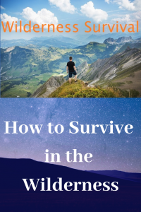 How to Survive in the Wilderness