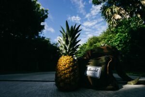 How to Estimate Daily Travel Expenses